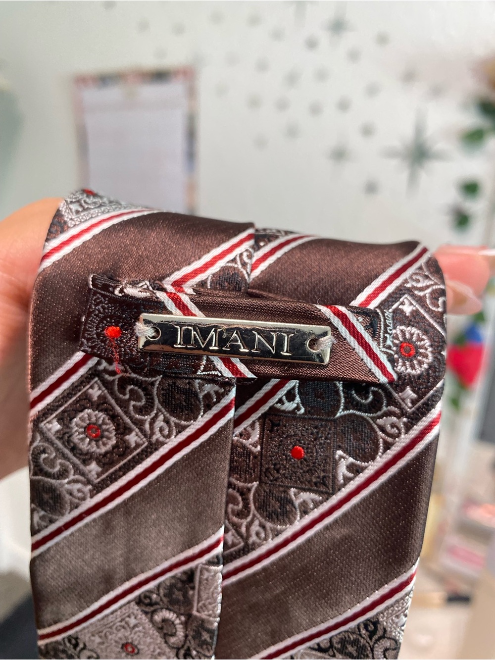 IMANI Brown and Red Patterned Silk Tie